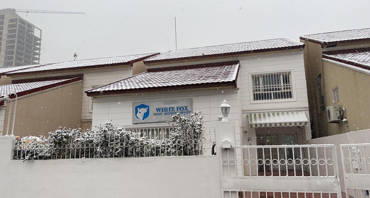 White Fox Company Office