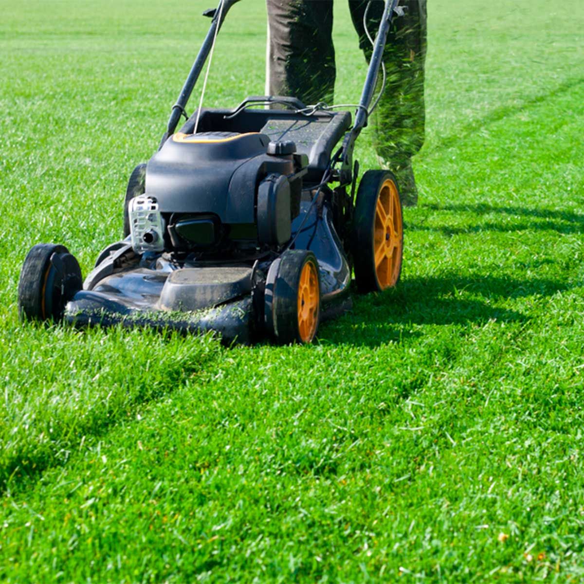 Garden Landscaping